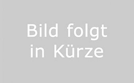 Zug-Einstellschraube Schraube für Puch Maxi Mofa Moped Mokick