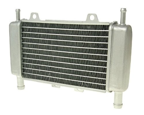 Kühler Radiator Wasserkühler für Gilera Runner (- 2005)