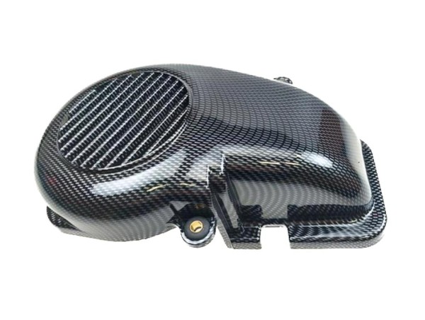 Lüfterradabdeckung Carbon für YAMAHA BWS Slider MBK Booster Stunt APRILIA SR 50