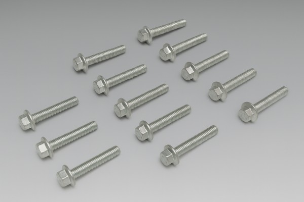 Variodeckel Schrauben silber M6x30 Piaggio Zip Liberty 50