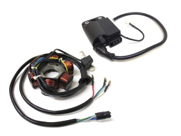 Lichtmaschine & CDI Zündspule für Piaggio, Vespa, Gilera, NRG, TPH, Zip, Sfera, Runner