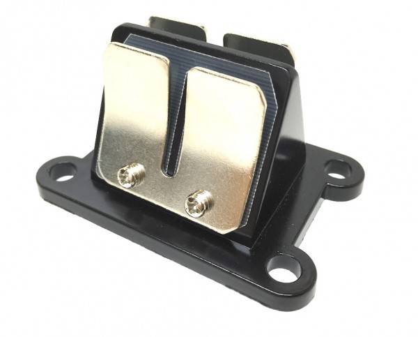 Membranblock Membrane für Aprilia RS RX, Rieju RR 50 (Minarelli AM6)