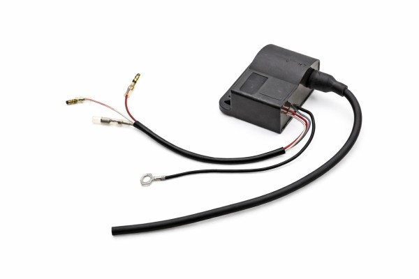 CDI Zündeinheit offen Beta Ark