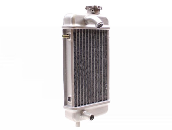 Kühler Radiator Wasserkühler für Rieju RR 50 AM6 LC