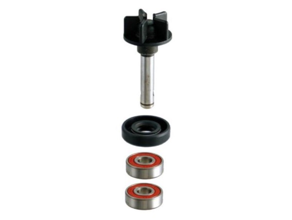 Wasserpumpen-Dichtungssatz für Aprilia SR 50